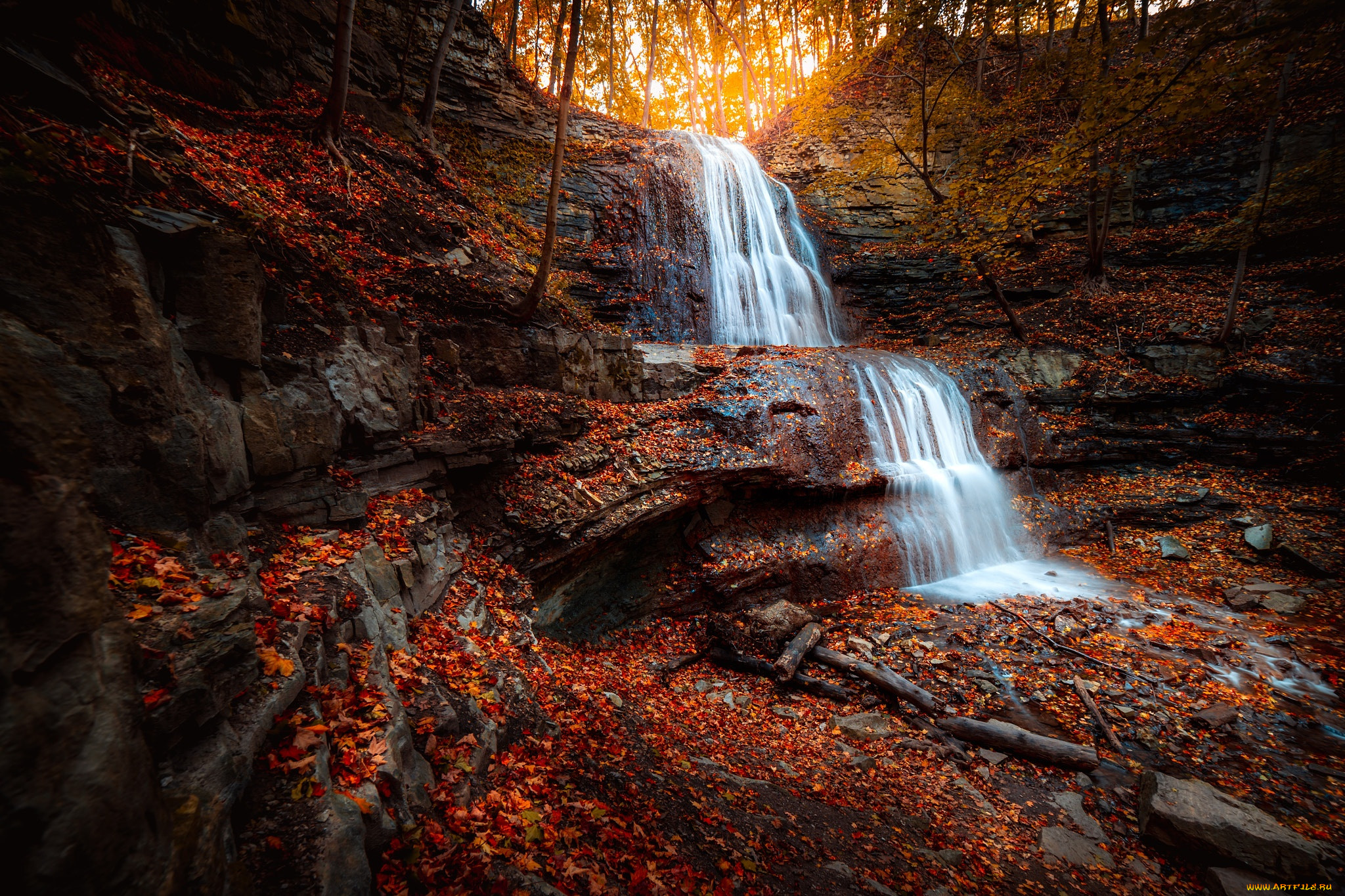 �������, ��������, ������